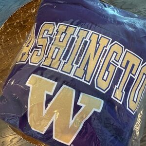 University of Washington Hoodie